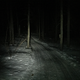 Groomed sled trails. Smooth and fast, as long as it’s cold enough to keep the snow firm. Carry enough speed and don’t be afraid of a little oppo.